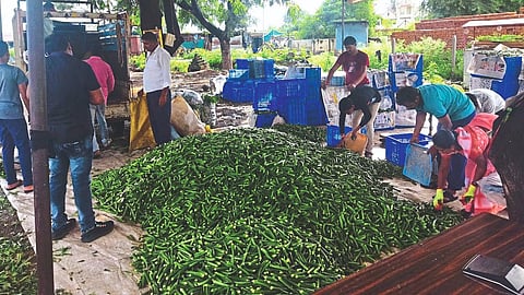Vegetable
