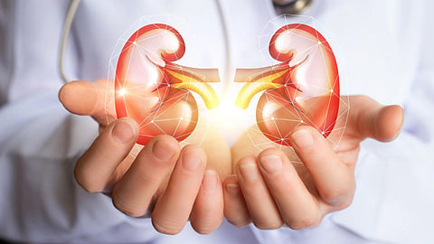 Kidney Health Tips