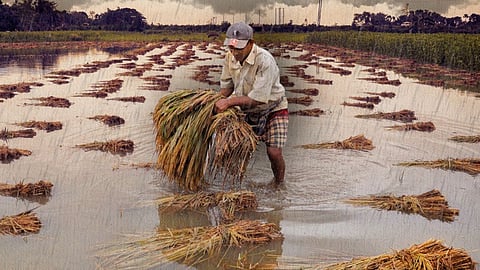 Maharashtra Unseasonal Rain