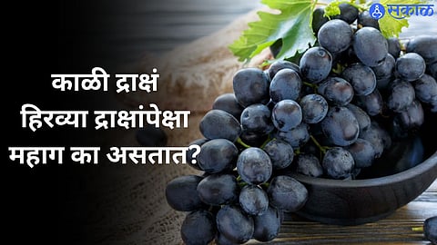 Black Grapes