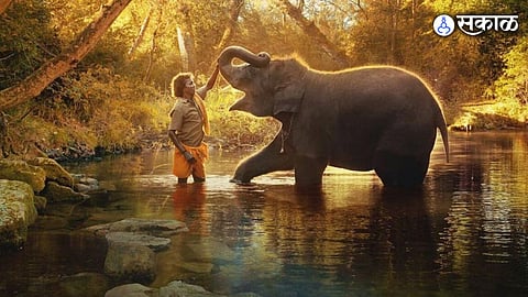 Oscars 2023 The Elephant Whisperers Wins Best Documentary Short Subject