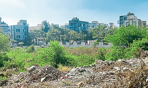मोशीतील रिकाम्या भूखंडांची
स्वच्छता करण्याची मागणी