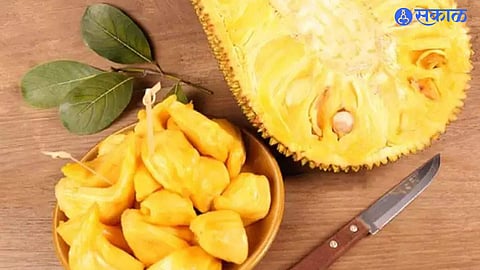 Jackfruit Seeds Good For Diabetes