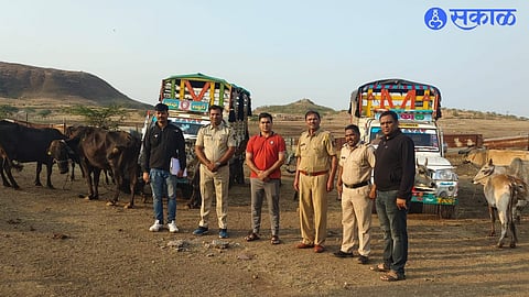 Seized Stuff