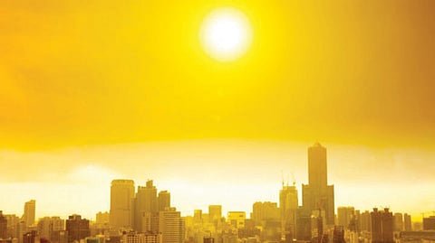 weather forecast cut down many trees for human development population pollution