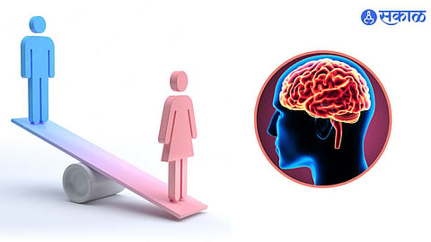 Who Have Bigger Brain