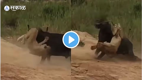 Video Viral