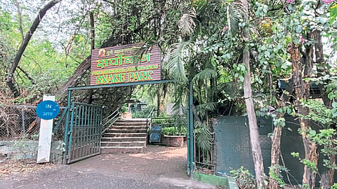 rajiv gandhi zoological park katraj