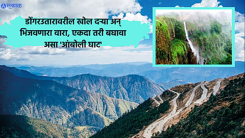 Maharashtra Din