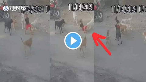 CCTV Camera