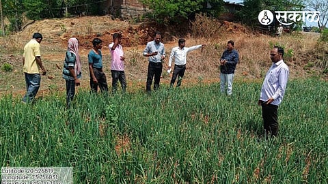 farmer Kashinath Dalvi. While going to the field and inspecting the onion crop, Tehsildar Sachin Mulik etc at At Pohali, Tal. Surgana.