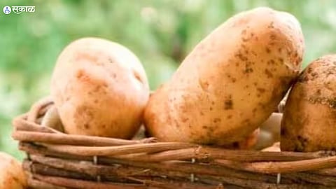 Expensive Potato