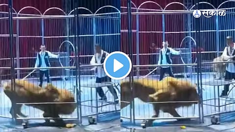 Viral Video