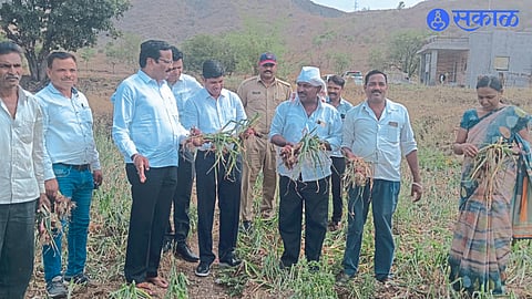 Officials along with MLA Nitin Pawar inspecting the damage caused by unseasonal rain