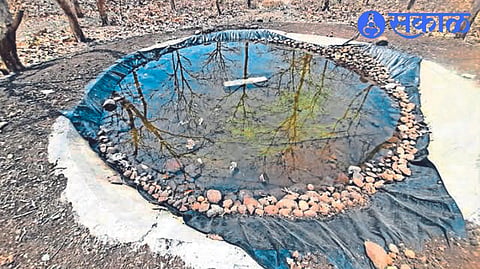 Artificial water bodies created by forest department for wildlife in the area.