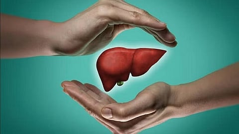 liver