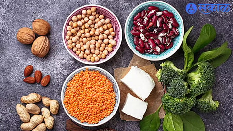 Best Protein Foods
