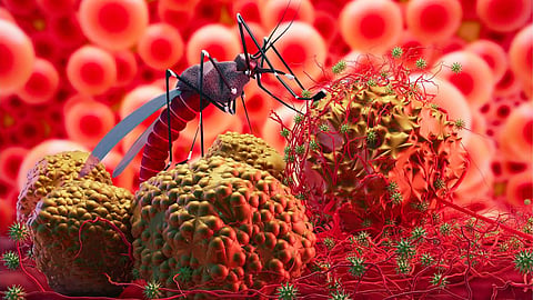 Malaria