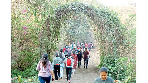 Taljai Hill