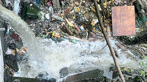 मैलामिश्रित पाणी थेट पवनेच्या पात्रात