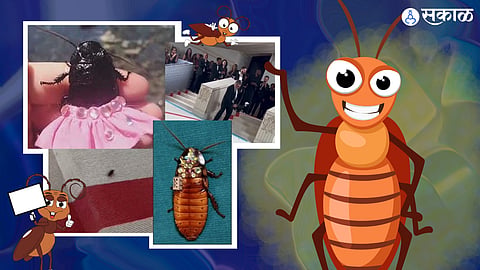 Cockroach At Met Gala 2023: