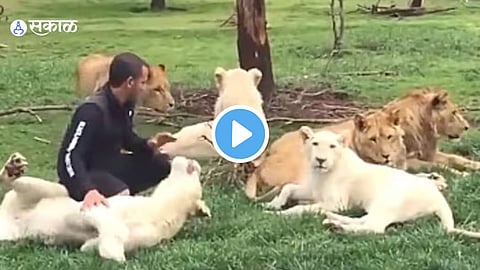 Viral VIdeo
