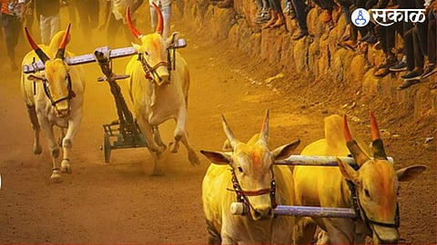 Bailgada Sharya
