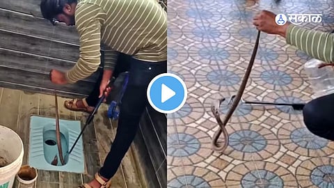 Video Viral