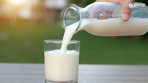 Milk