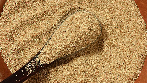 poppy seeds