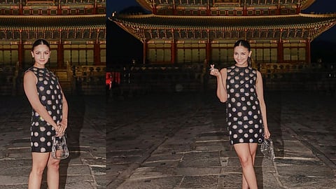 Alia Bhatt trolled at Gucci Cruise 2024 gala