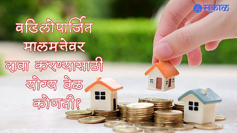 Property Expert