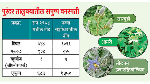 Rare Plants