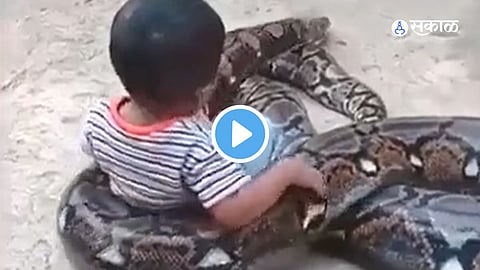 Viral Video