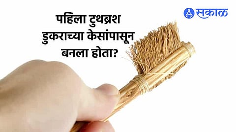 Toothbrush History