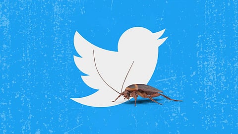 Twitter Bug