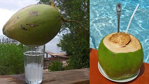 coconut