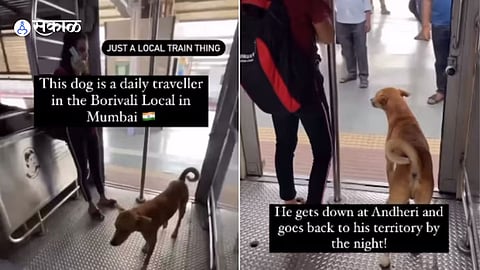 Viral Video
