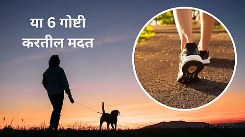 Weight Loss Evening Walk