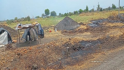 coal makers loaded with money forest department deforestation solapur crime police