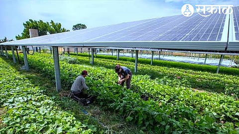 Electricity generation from solar panels Sun-ways startup in Switzerland