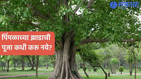 Peepal Tree Puja Rules