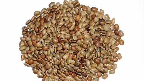 Piles Home Remedies
