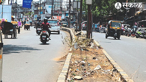 Garbage, grass in the bifurcation of the road from Gajammal to Sarada Circle