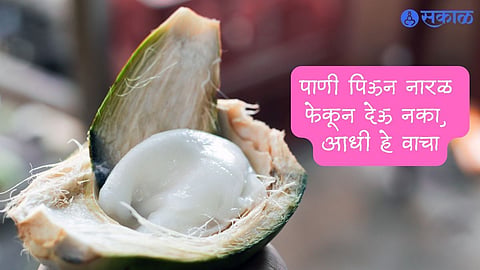 Coconut Cream Benefits