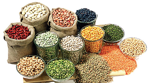 grains
