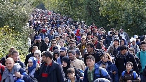 refugees