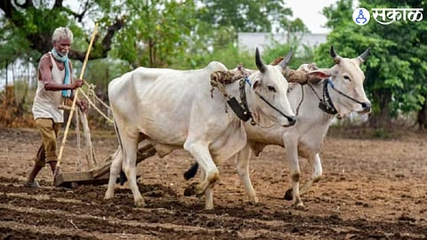 Agriculture