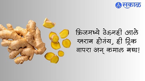 Ginger Store Tips