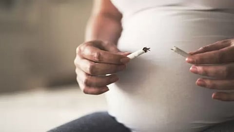 Pregnancy